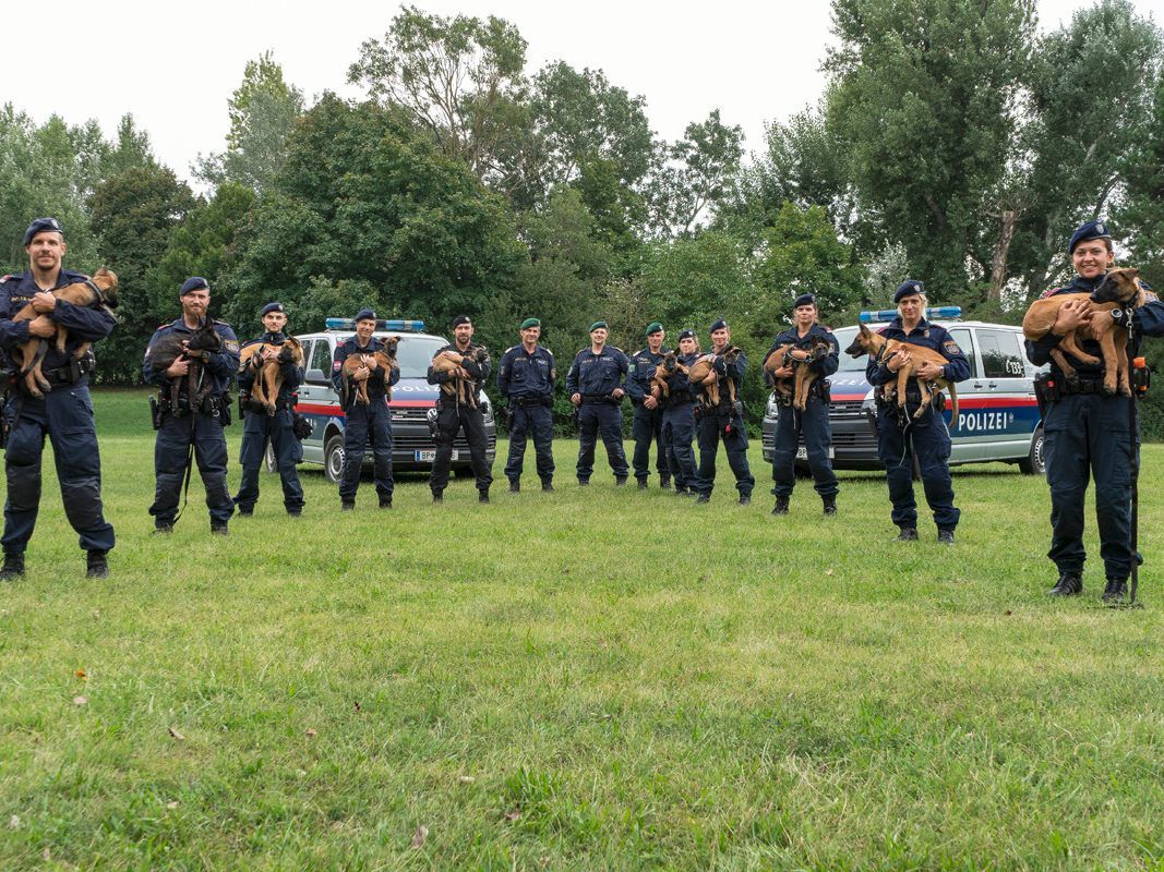 Glückliche Gesichter: Bei der Welpenübergabe an zehn neue Polizeidiensthundeführer