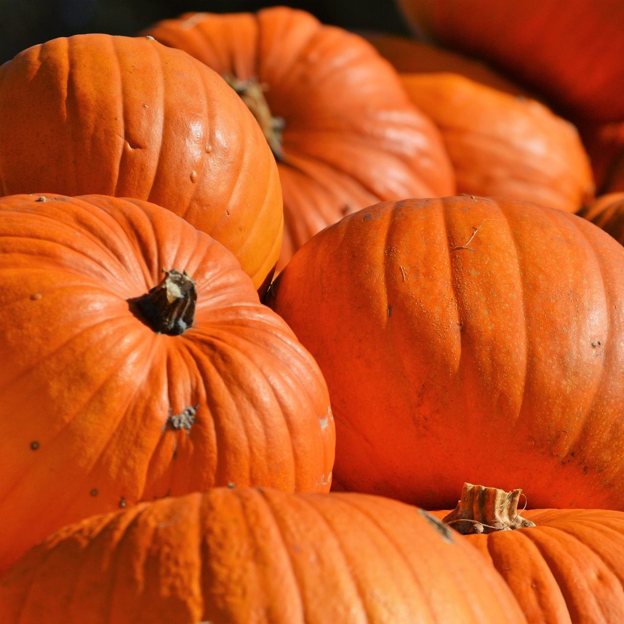 Kürbis hilft der Blase und stärkt das Immunsystem.