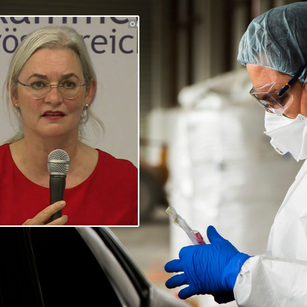 Petra Apfalter sagt, man müsse den Virus von nun an in die Liste der für die Erkältungszeit typischen Erreger aufnehmen.