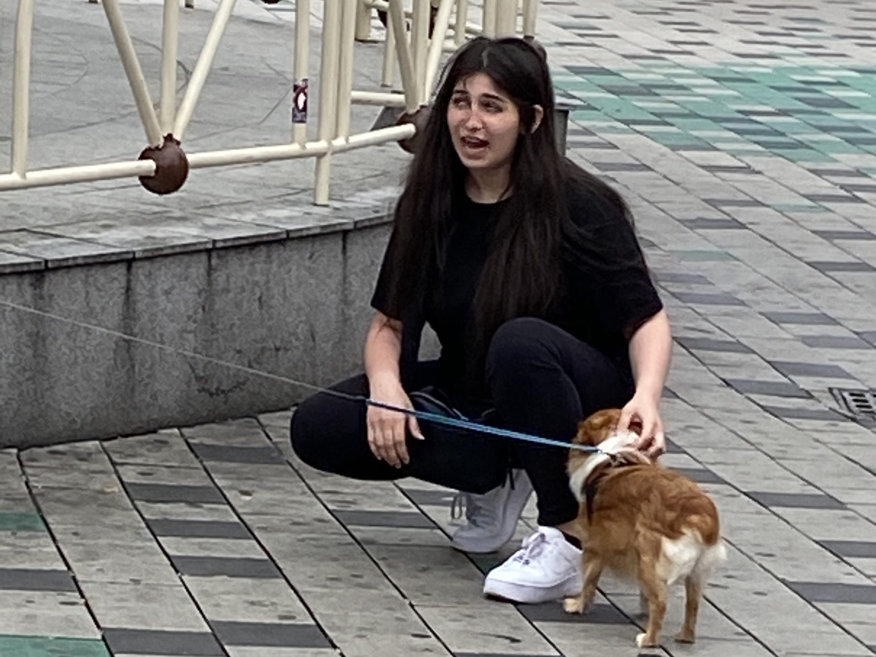 Die Polizei sucht nach diesem Mädchen. Die Polizei sucht nach diesem Mädchen.