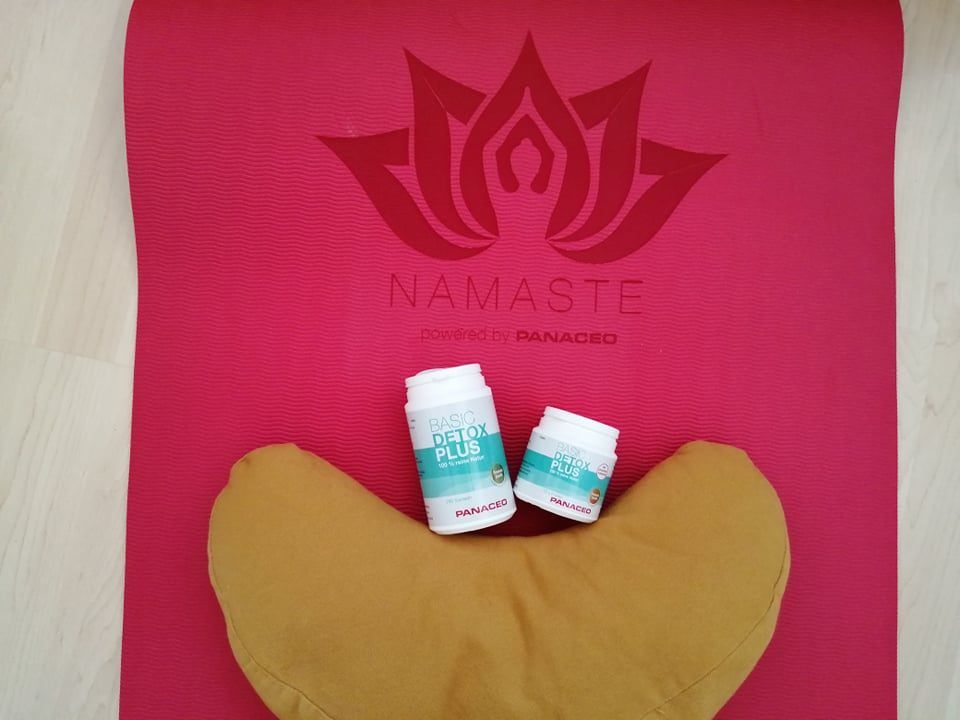 VIENNA.at hat die Detox-Kur von Panaceo powered by Yogalicious getestet