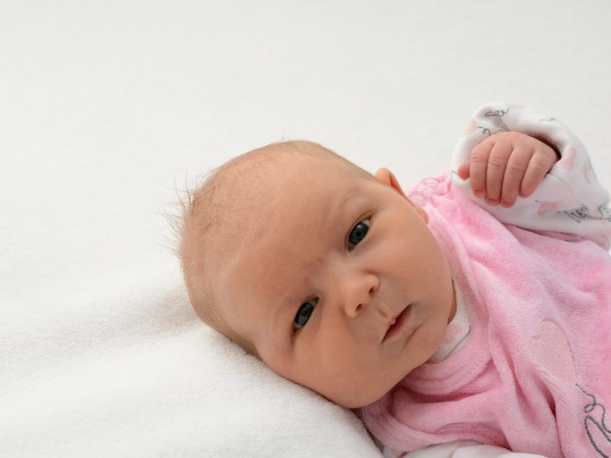 Die Vol.at - Redaktion gratuliert recht herzlich.