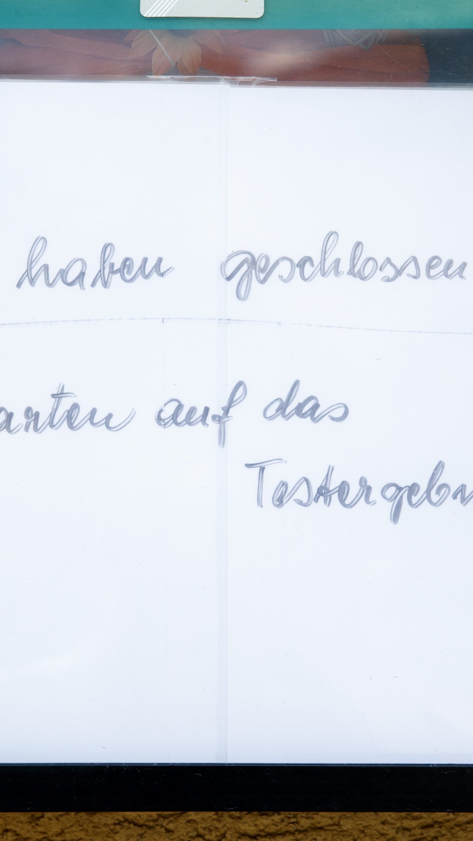 Es wird gefordert, dass man sich mit negativen Coronavirus-Tests aus der Quarantäne freitesten kann.