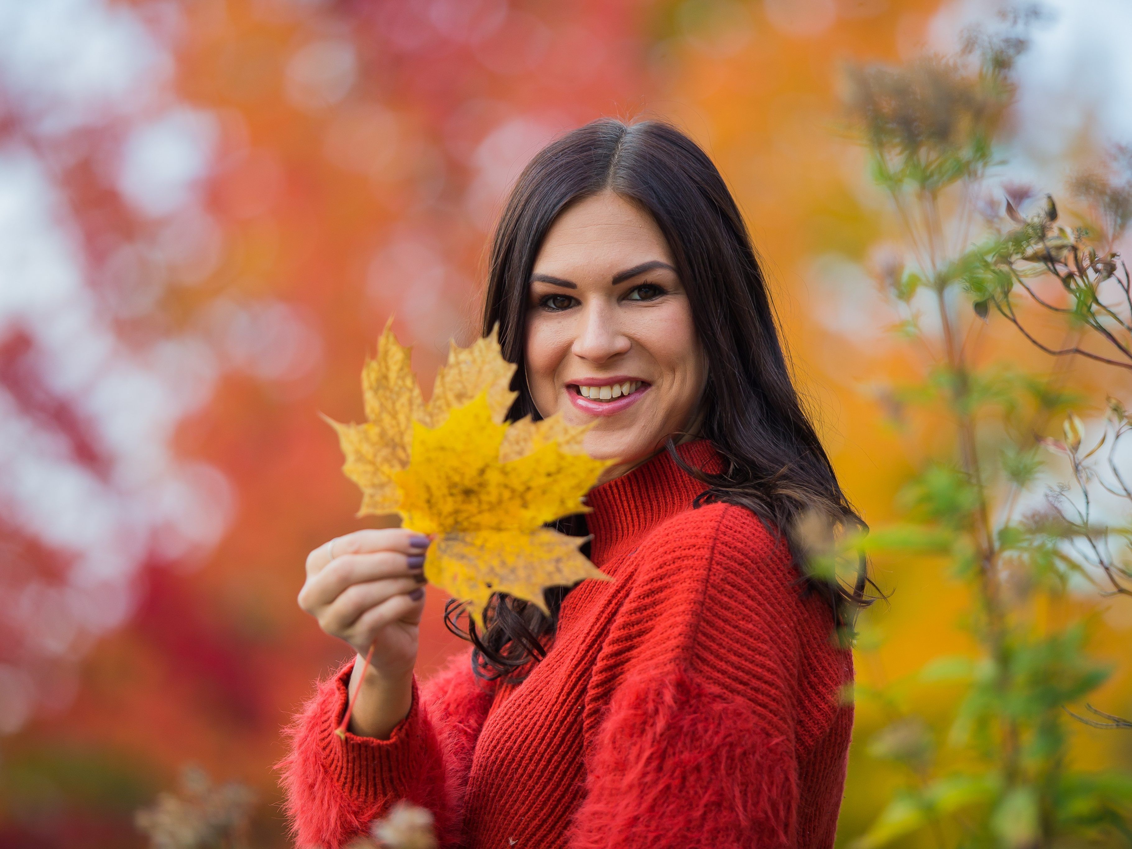 Die Wettervorhersage für Vorarlberg.
