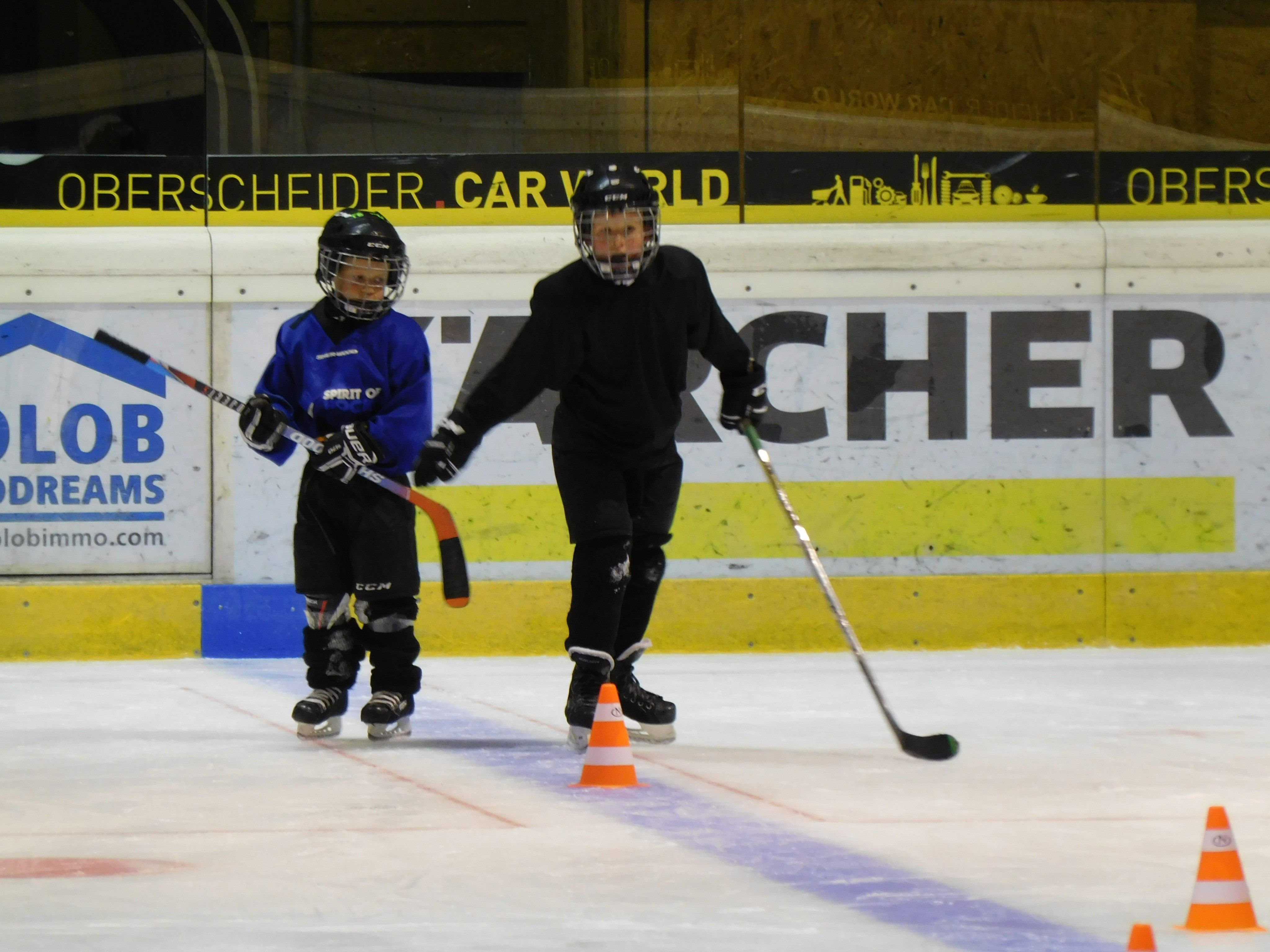 Eislauffreunde können in der Rheinhalle wieder Runden drehen Eislauffreunde können in der Rheinhalle wieder Runden drehen