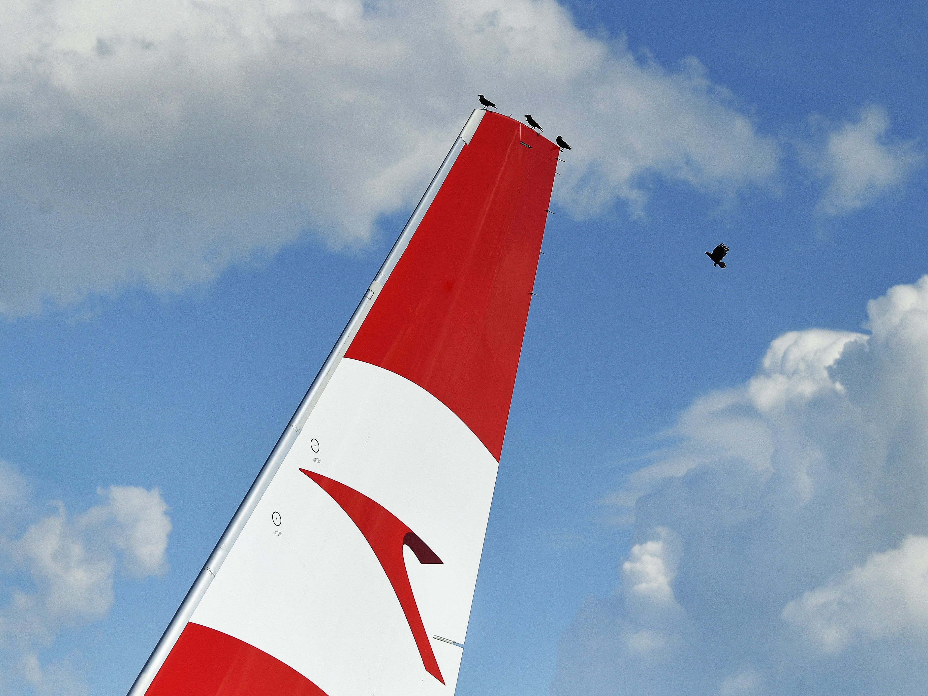 Das Winterwetter in Wien würde den Flugzeugen nicht guttun.