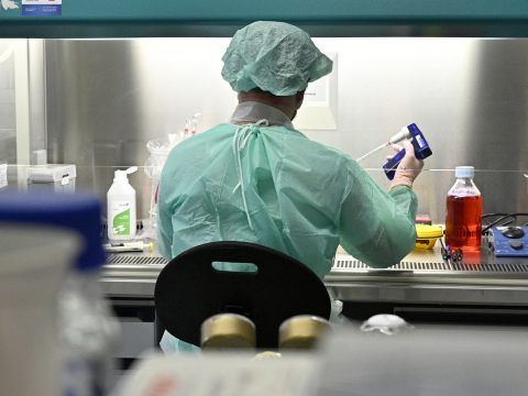 In Niederösterreich sind zwei weitere Coronavirus-Todesopfer zu beklagen.