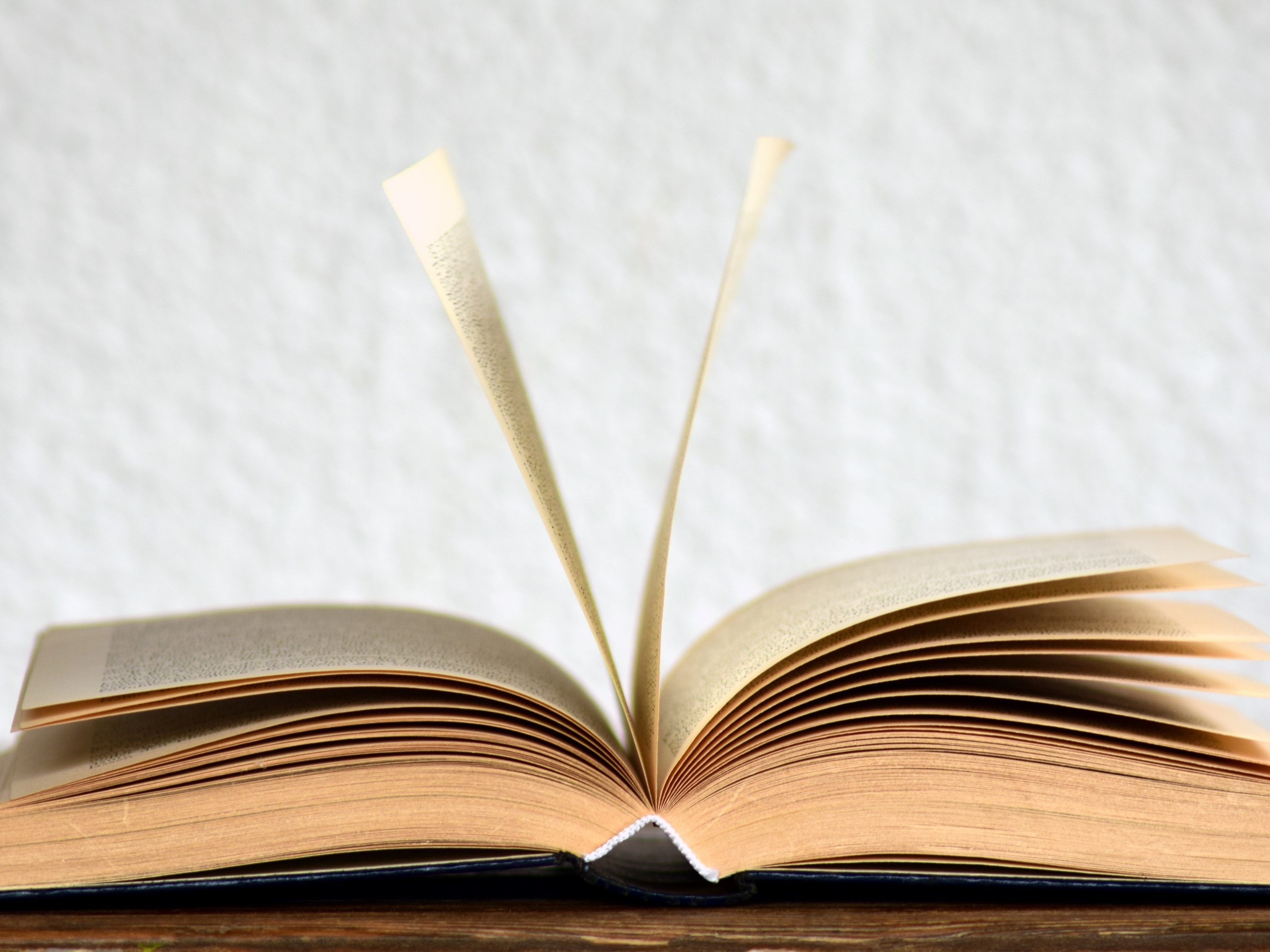 Das "Wörterbuch der bairischen Mundarten" ist nicht mehr nur analog, sondern soll nun virtuell weiter wachsen Das "Wörterbuch der bairischen Mundarten" ist nicht mehr nur analog, sondern soll nun virtuell weiter wachsen