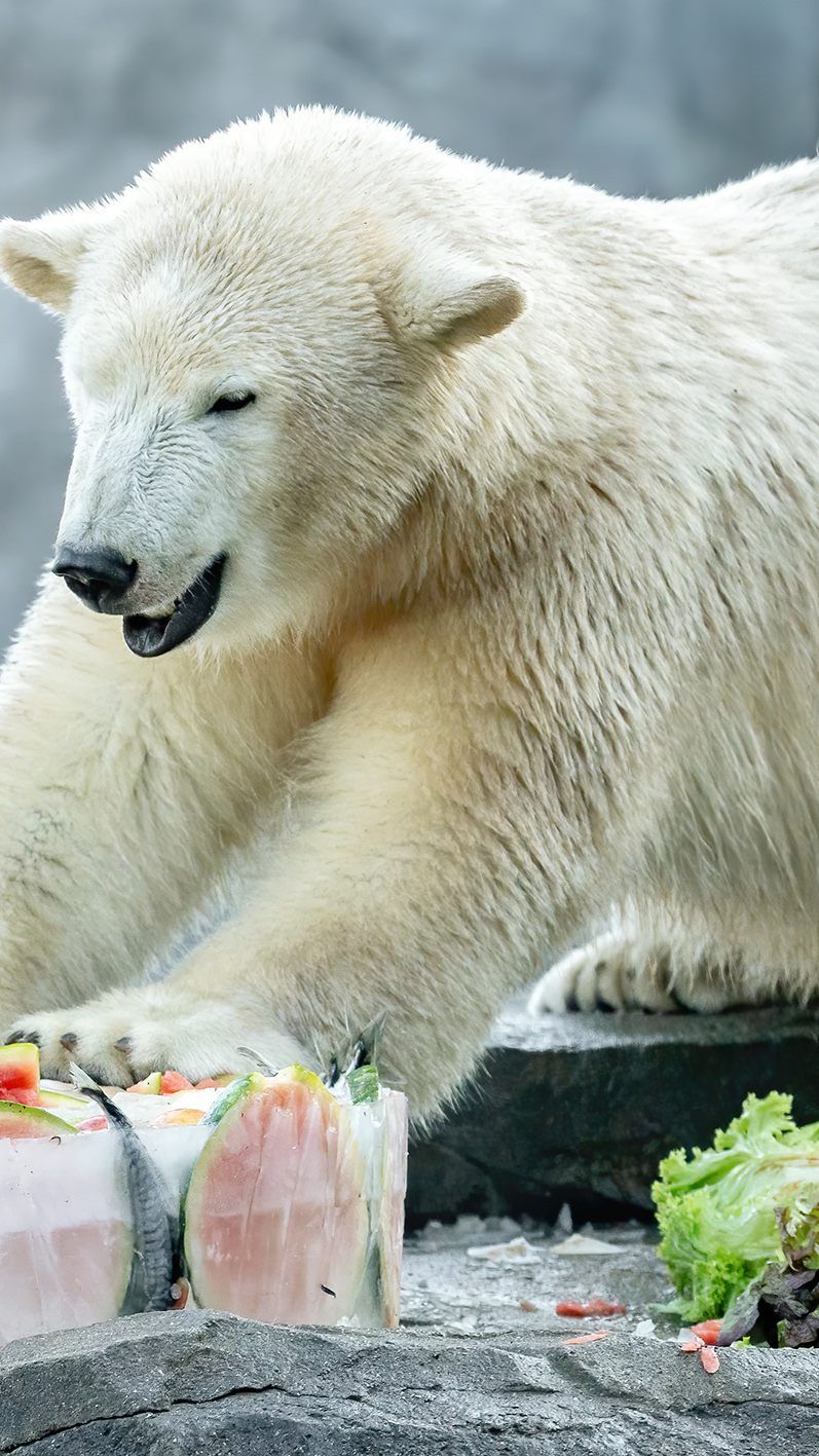 Finja wurde zum ersten Geburtstag mit einer besonderen Torte bedacht