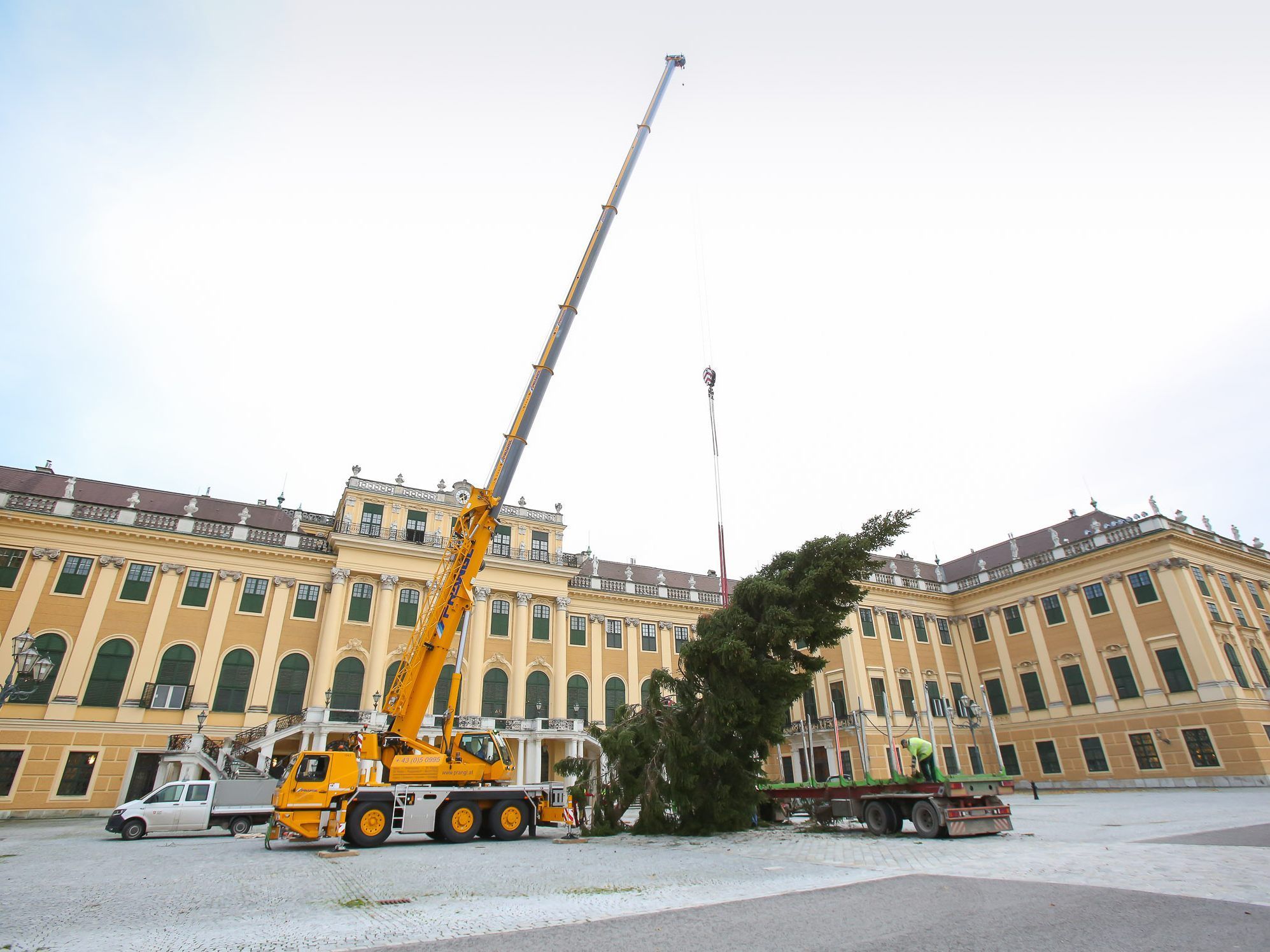 Beim Aufstellen des Baumes vor dem Schloss Schönbrunn Beim Aufstellen des Baumes vor dem Schloss Schönbrunn