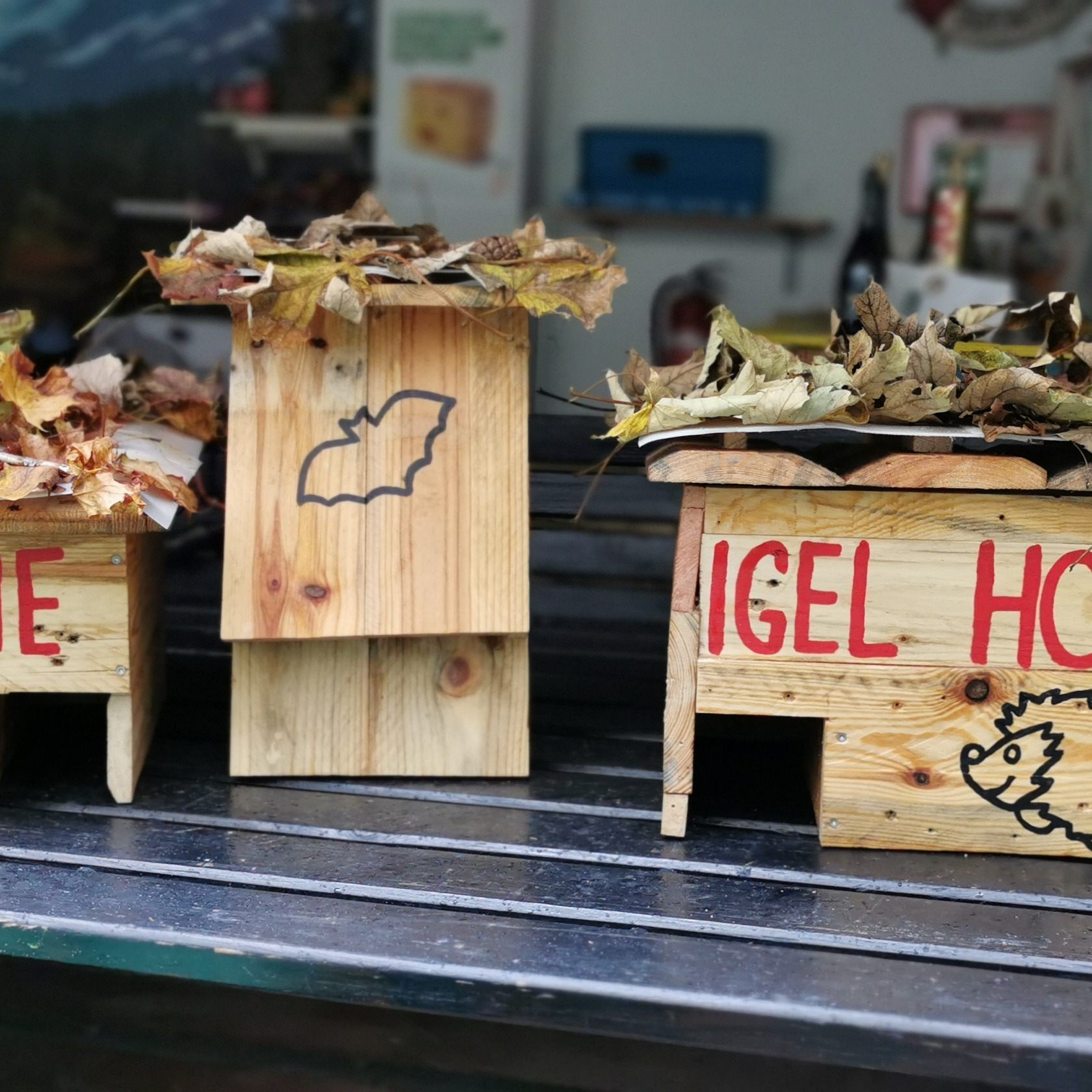 Durch die MUT Wildtierhilfe bieten Wiener Tierfreunde Vierbeinern über den gesamten Winter eine fixe Bleibe﻿