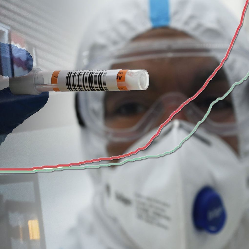 Am Freitagmorgen wurden in Vorarlberg deutlich mehr Genesene gemeldet als Corona-Neuinfektionen.