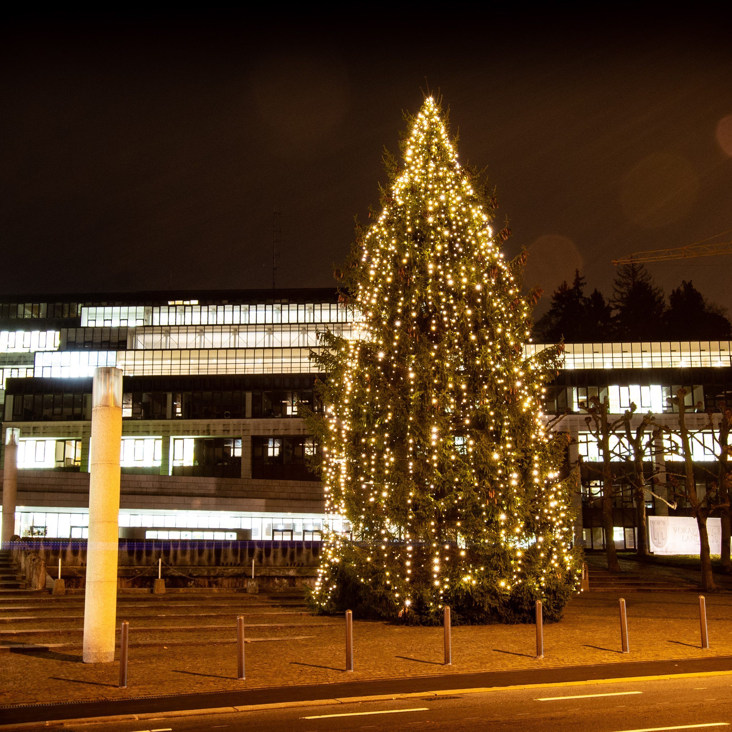 Weihnachtsbaum vor dem Landhaus