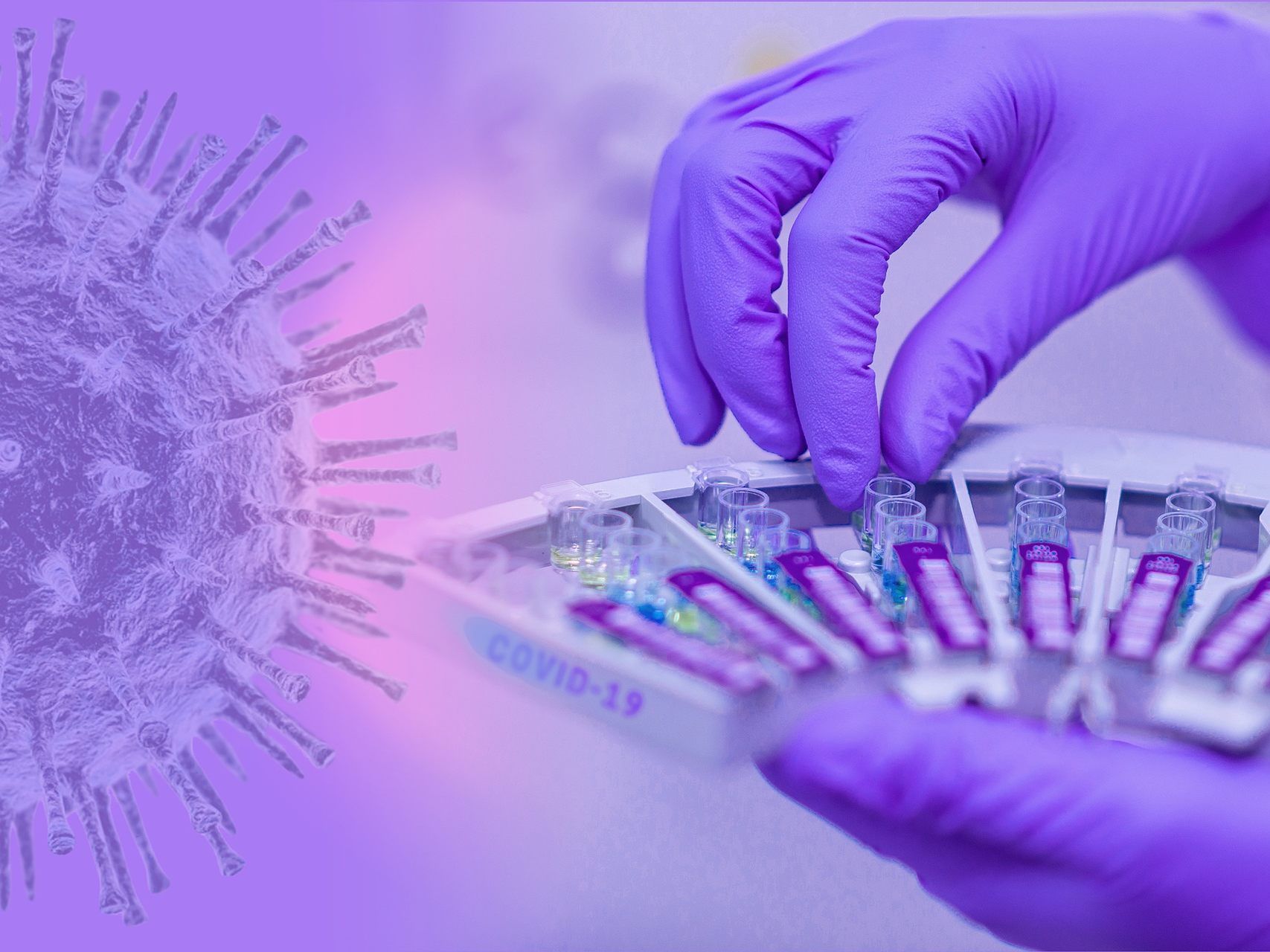 Bei zwölf Menschen wurde bereits eine mutierte Version des Coronavirus festgestellt. Bei zwölf Menschen wurde bereits eine mutierte Version des Coronavirus festgestellt.