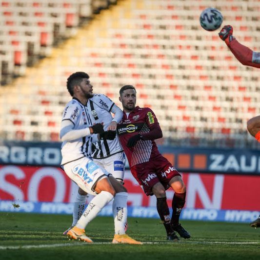 Kobras im Mittelpunkt