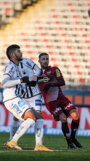 Kobras im Mittelpunkt