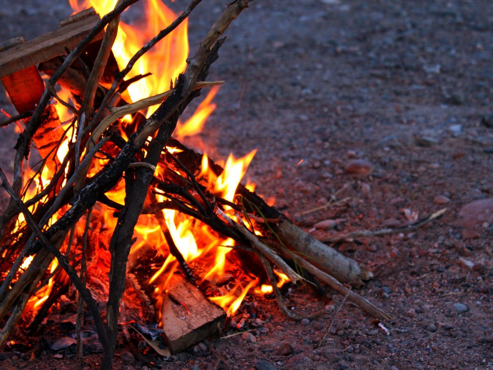 Die Berufsfeuerwehr Wien löschte das illegale Lagerfeuer. Die Berufsfeuerwehr Wien löschte das illegale Lagerfeuer.