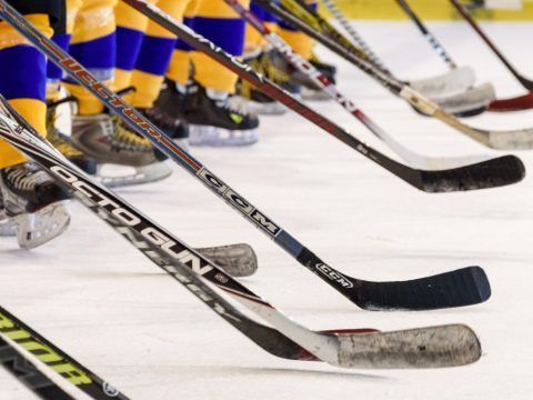 Die ICE Eishockey-Liga wird ab Sonntag fortgesetzt. Die ICE Eishockey-Liga wird ab Sonntag fortgesetzt.