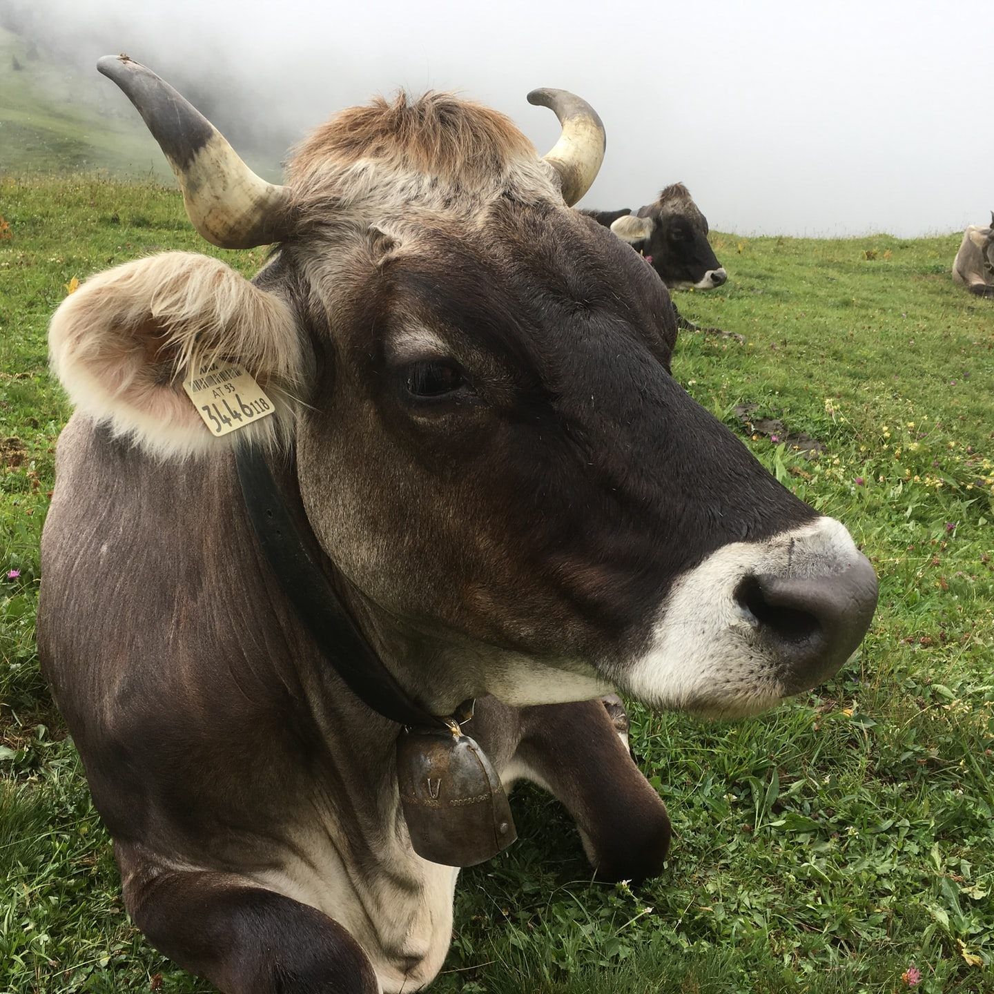 Landwirtschaft gilt als systemrelevant.