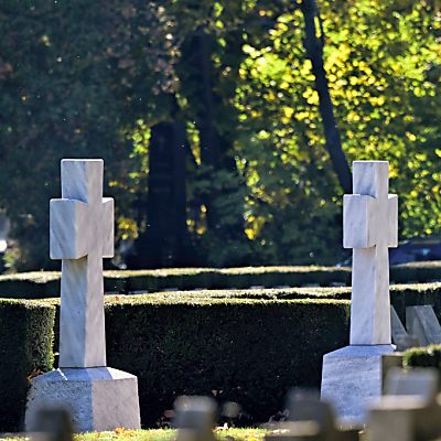 2.431 Sterbefälle in Woche vom 16. bis 22. November