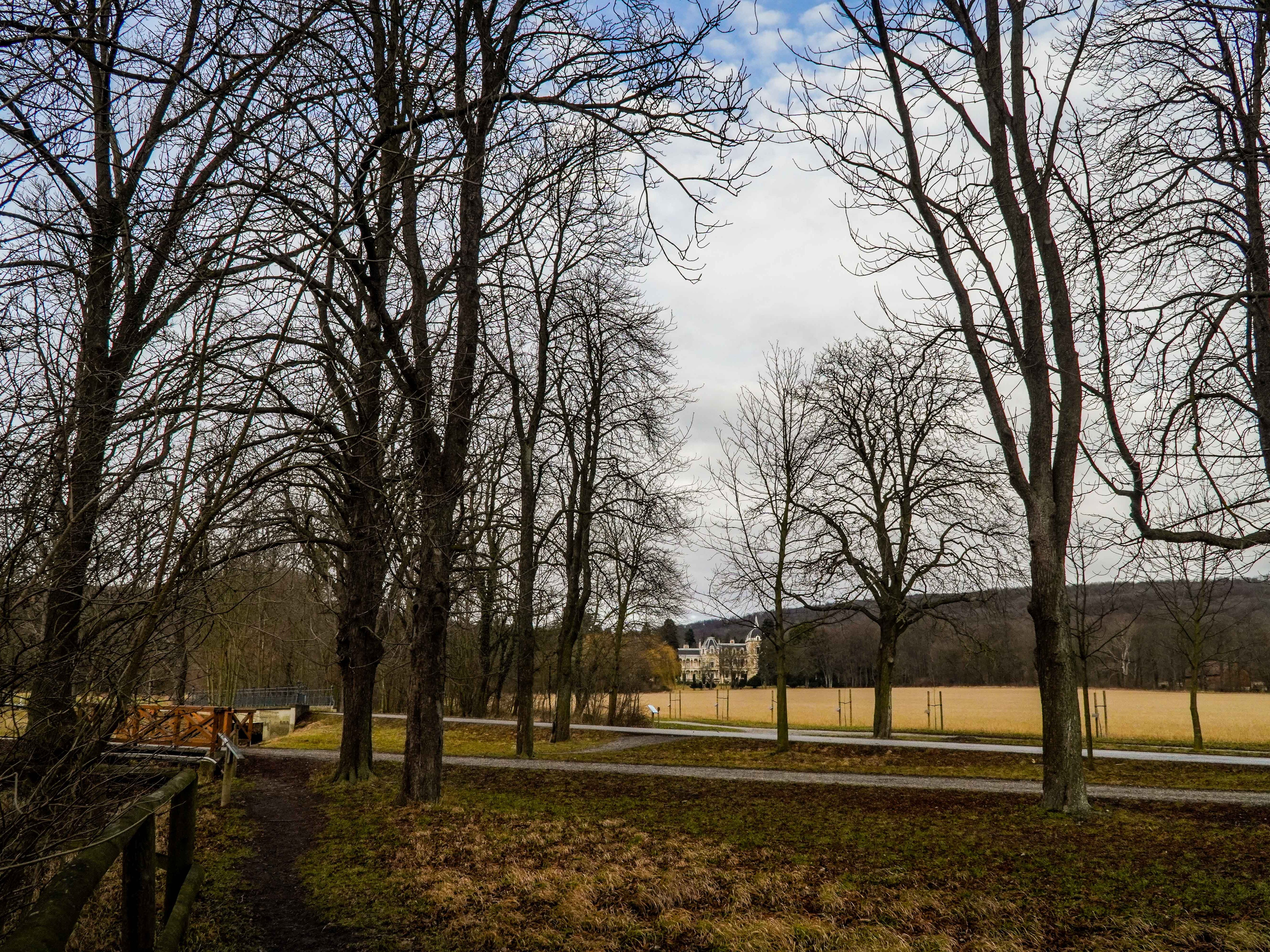 Der Lainzer Tiergarten lädt während der Weihnachtsferien zu Spaziergängen ein