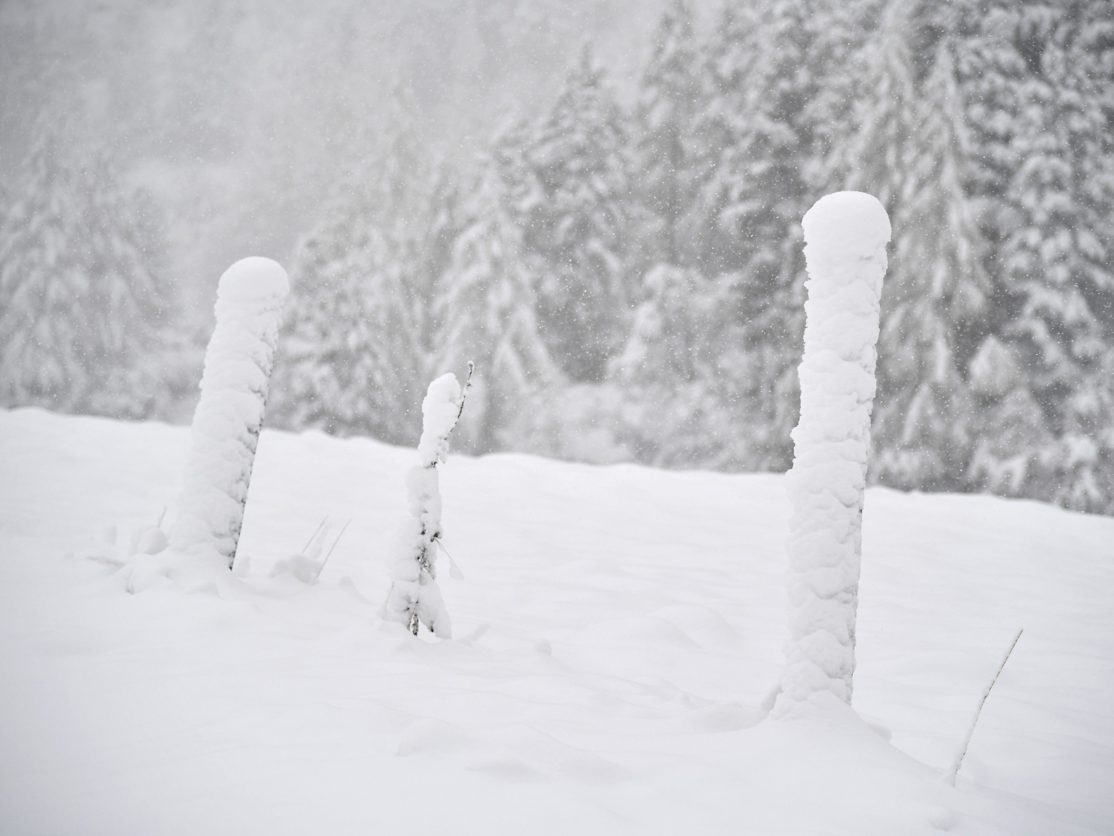 In Österreich werden teilweise große Schnee- und Regenmengen erwartet. In Österreich werden teilweise große Schnee- und Regenmengen erwartet.