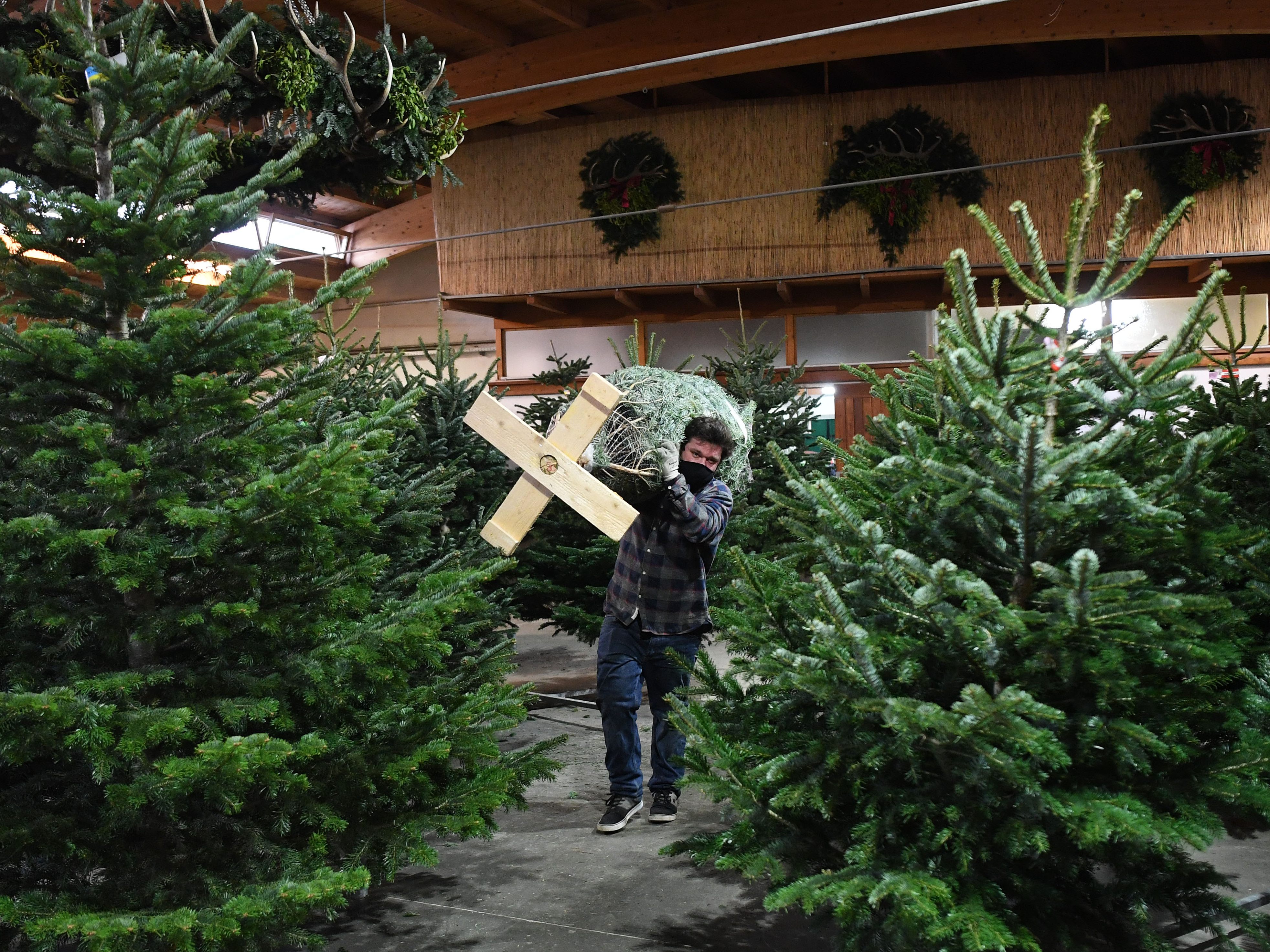 Die Christbaumpreise wurden von den meisten Händlern heuer nicht erhöht. Die Christbaumpreise wurden von den meisten Händlern heuer nicht erhöht.