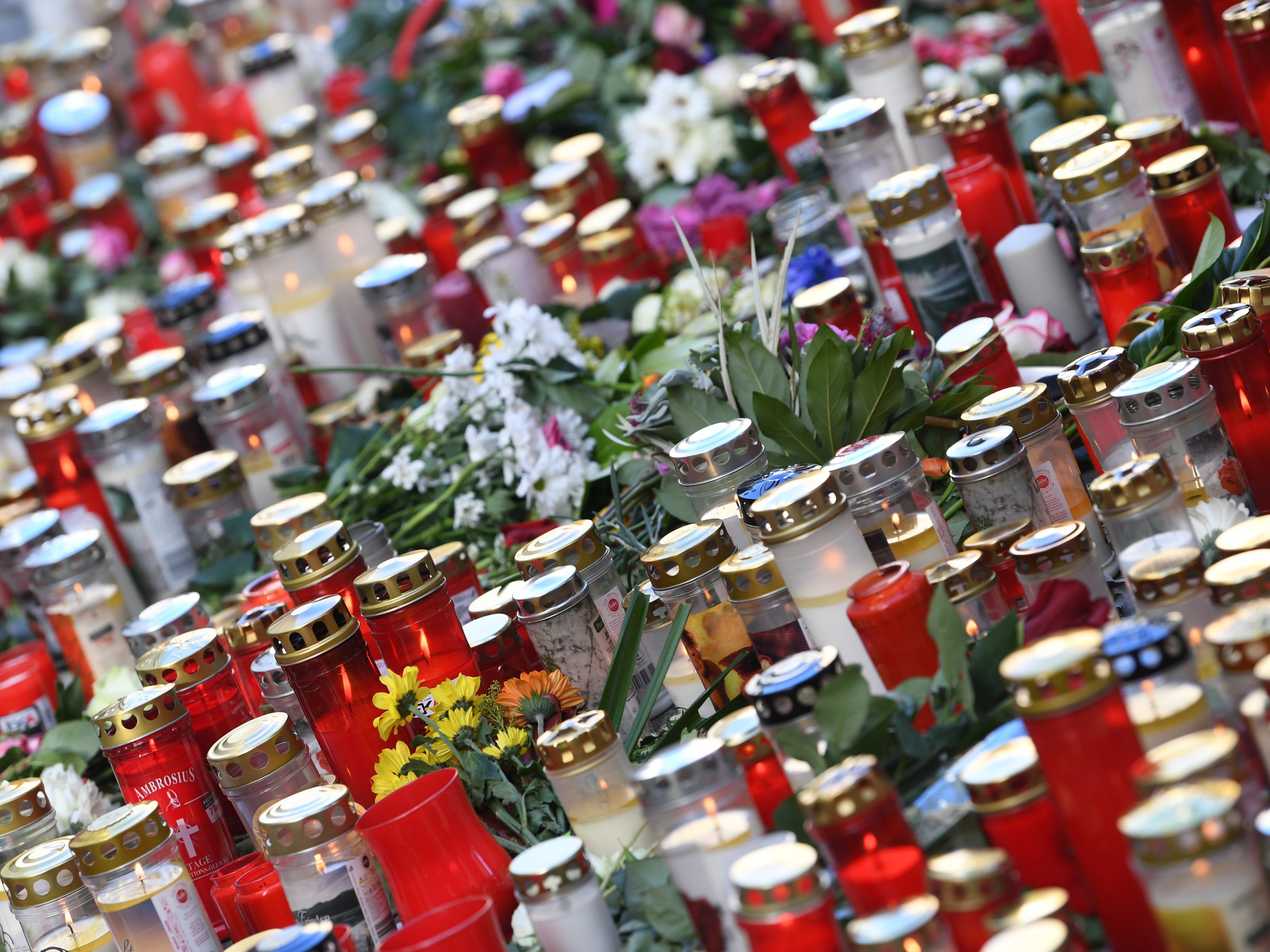 Einer der möglichen Wien-Terror-Tatbeteiligten steht noch vor Weihnachten vor Gericht in Wien. Einer der möglichen Wien-Terror-Tatbeteiligten steht noch vor Weihnachten vor Gericht in Wien.