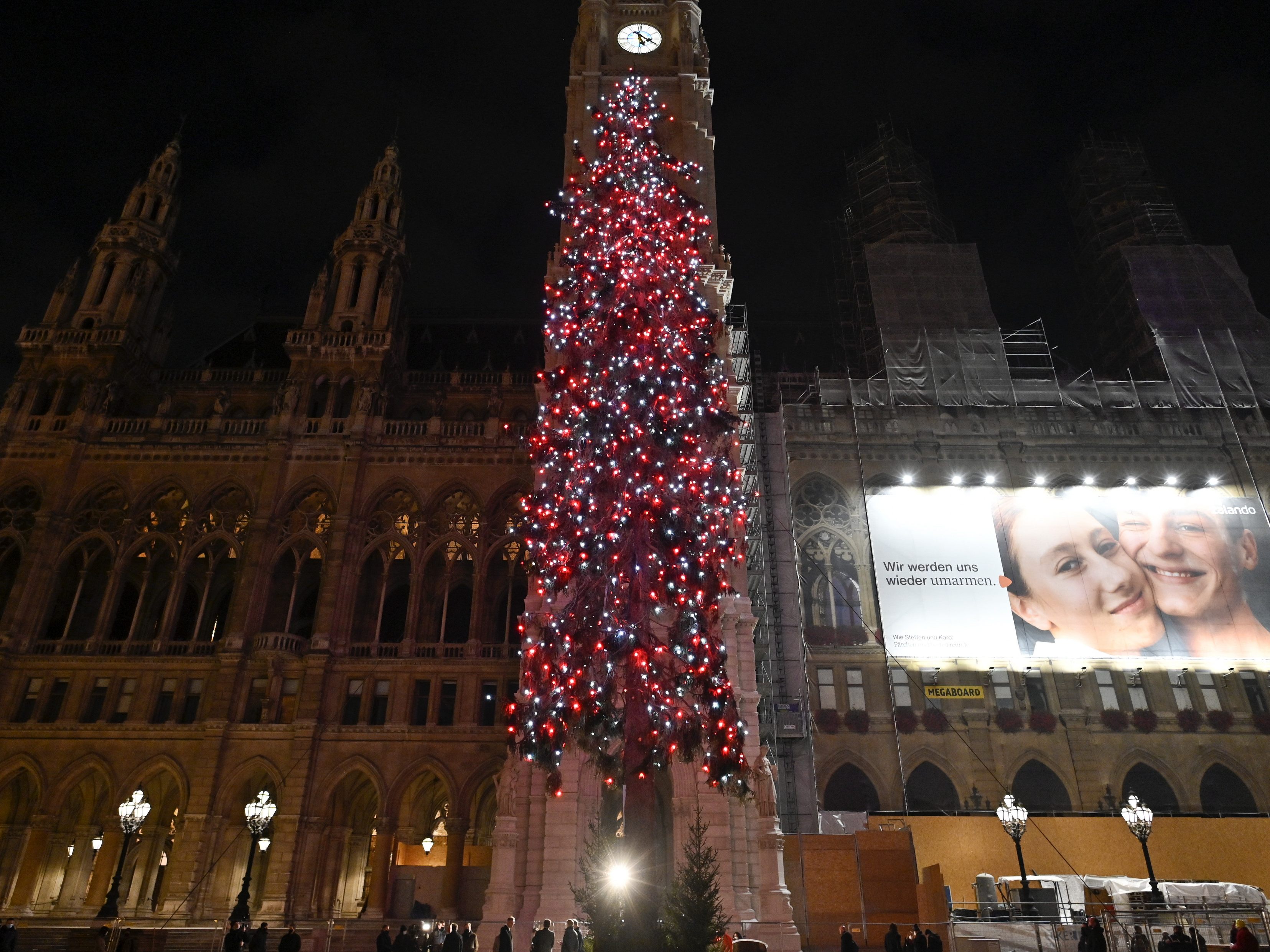 Wien hat den größten Weihnachtsbaum Österreichs.