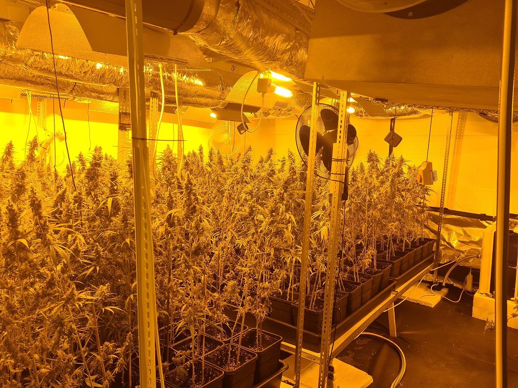 Neben Cannabis handelten die Männer auch mit Kokain. Neben Cannabis handelten die Männer auch mit Kokain.