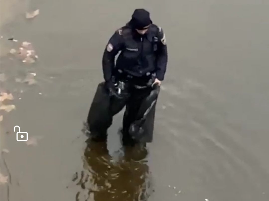 Eine Polizistin griff zu kreativen Bergungsmaßnahmen. Eine Polizistin griff zu kreativen Bergungsmaßnahmen.