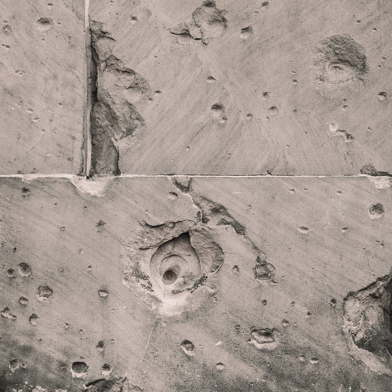 Die auf Sanierung alter Bausubstanzen spezialisierte Wiener Baufirma muss sich selbst sanieren.