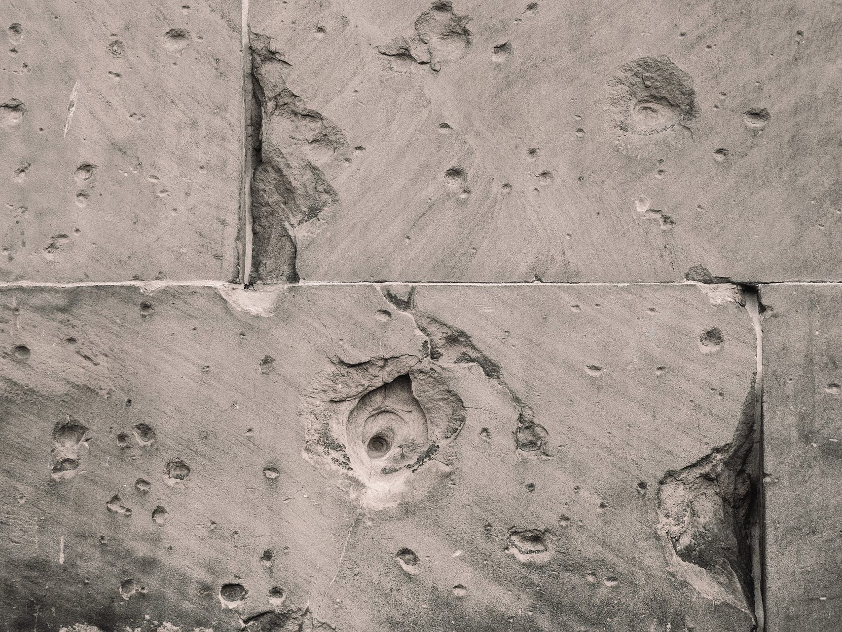 Die auf Sanierung alter Bausubstanzen spezialisierte Wiener Baufirma muss sich selbst sanieren.