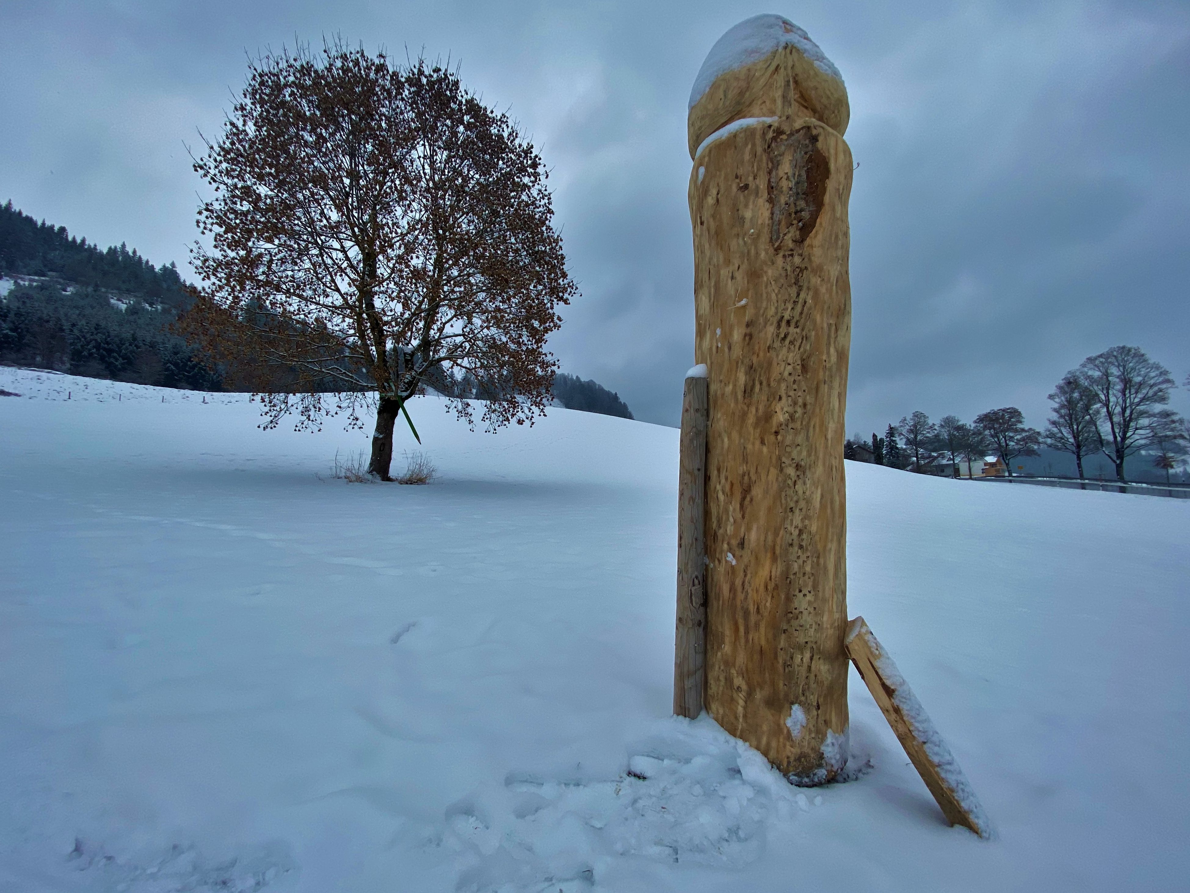Neuer Holzpenis im Landkreis Lindau. Neuer Holzpenis im Landkreis Lindau.