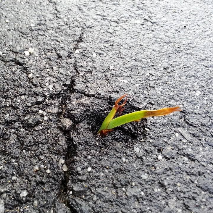 Es wird ein klarer Fahrplan zur Klimaneutralität gefordert.