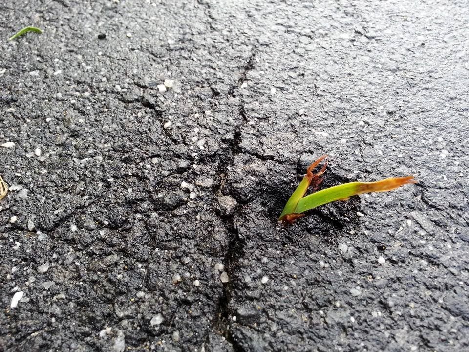 Es wird ein klarer Fahrplan zur Klimaneutralität gefordert.