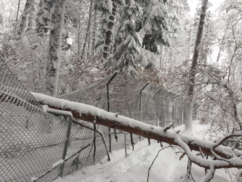 Schneelast