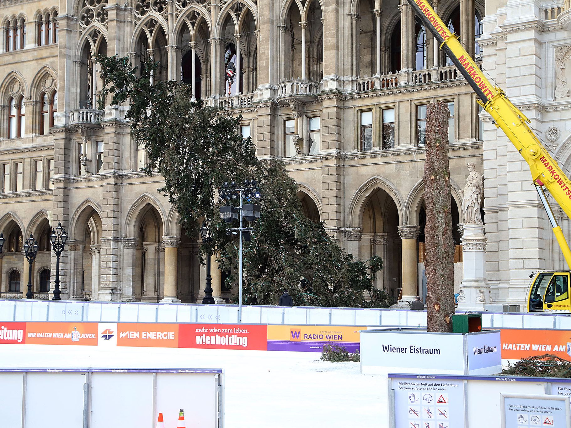 Der Christbaum am Wiener Rathausplatz ist Geschichte.