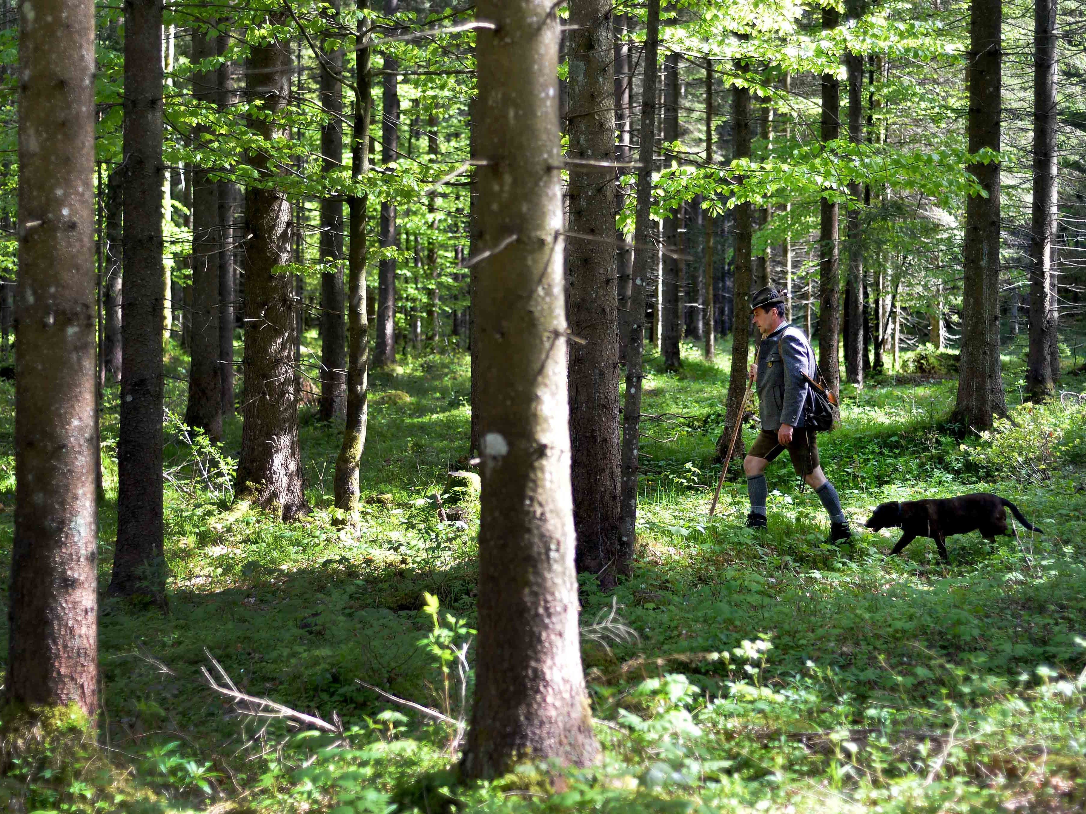 Ab Februar sind sechs Fördermaßnahmen beantragbar.