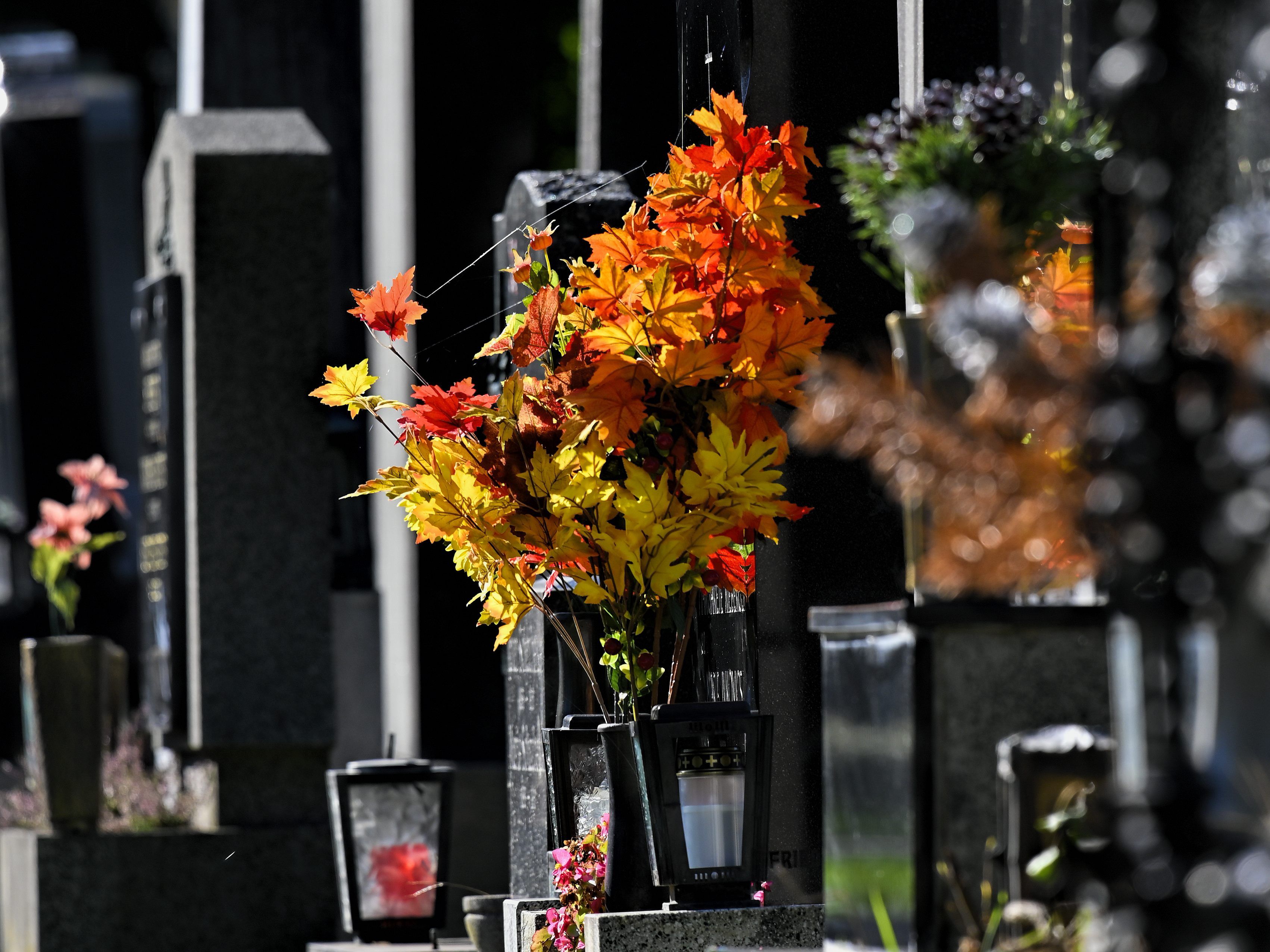 Die Todesfälle in Österreich wurden möglicherweise etwas unterschätzt.