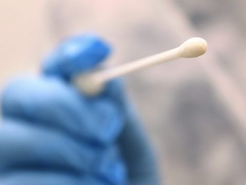 208 Coronavirus-Neuinfektionen wurden am Sonntag in Niederösterreich gemeldet.