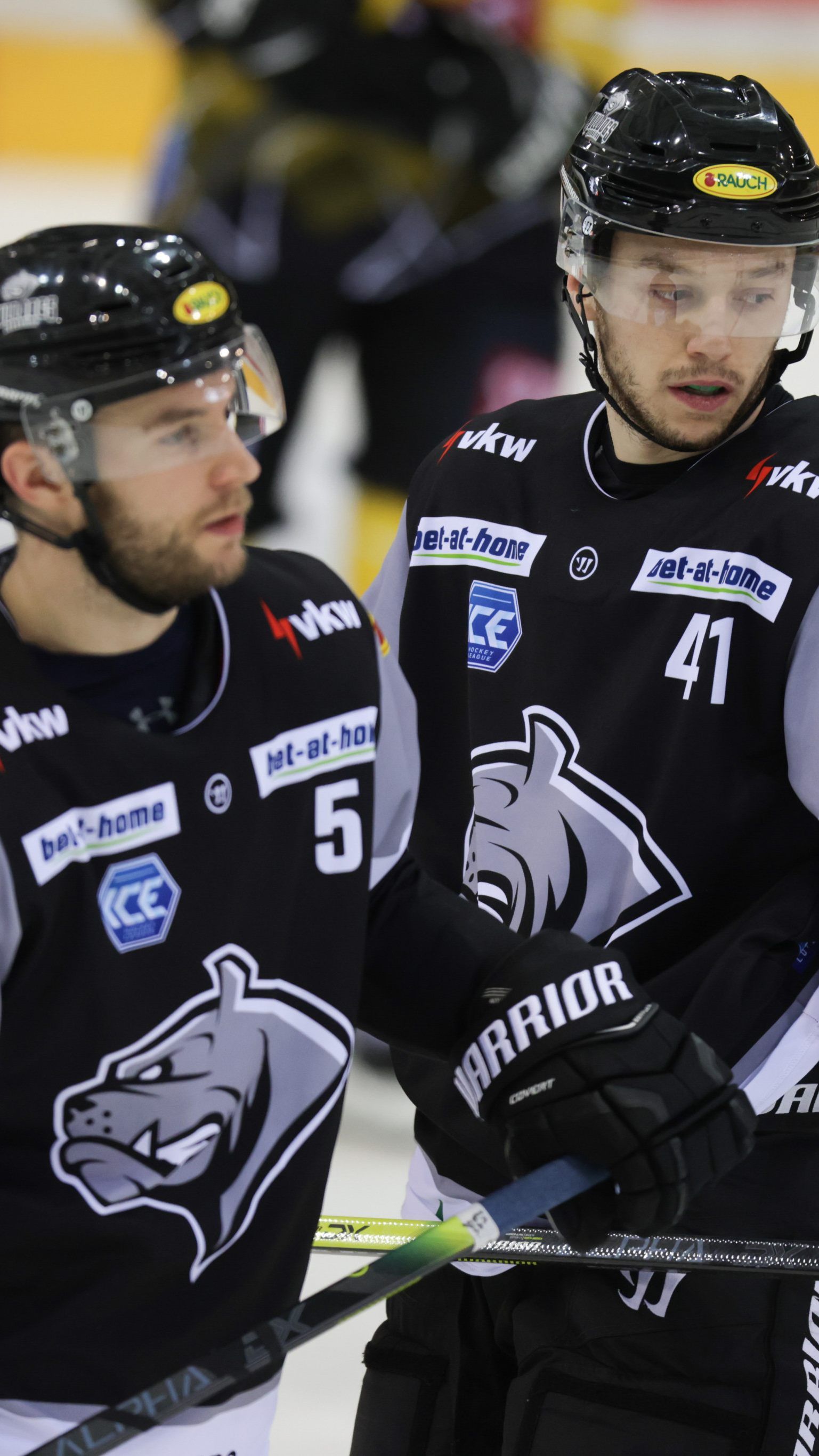 Die Bulldogs kassierten nach zwei Siegen wieder eine Niederlage.