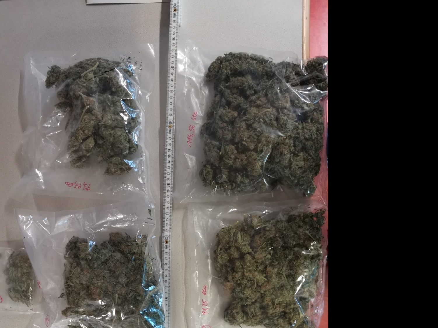 Die Polizei nahm rund ein halbes Kilo Cannabis ab Die Polizei nahm rund ein halbes Kilo Cannabis ab