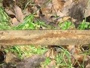 Der Entminungsdienst konnte das Kriegsmaterial sicher abtransportieren. Der Entminungsdienst konnte das Kriegsmaterial sicher abtransportieren.