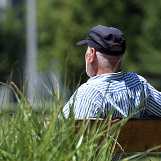 Wärmere Jahreszeiten kein Garant für Virenschwund