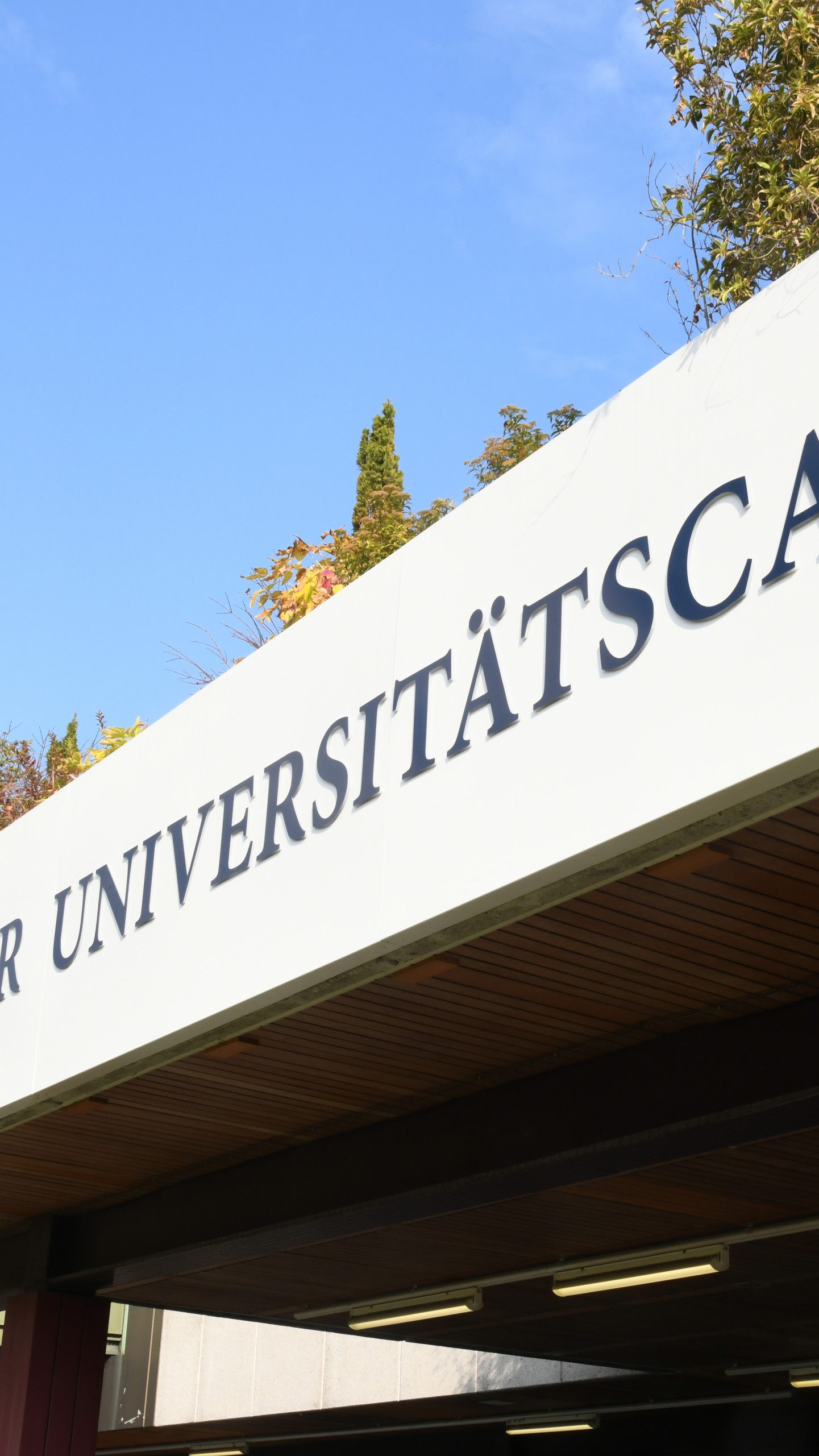 Zwei Injektionen pro Jahr reduzieren LDL-Cholesterin um die Hälfte.