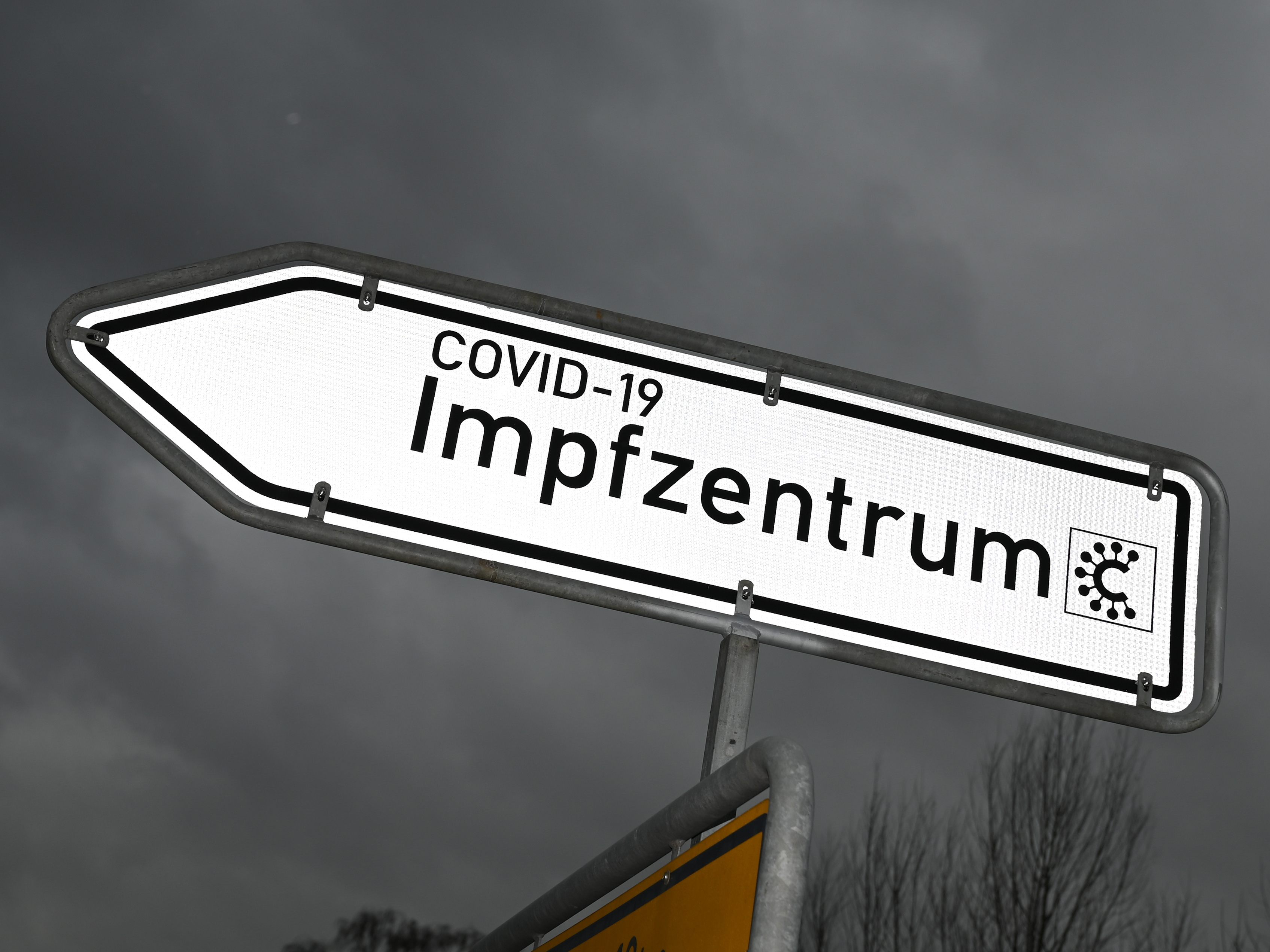 Ein großer Teil der Impfungen ist bereits im E-Impfpass abgebildet. Ein großer Teil der Impfungen ist bereits im E-Impfpass abgebildet.