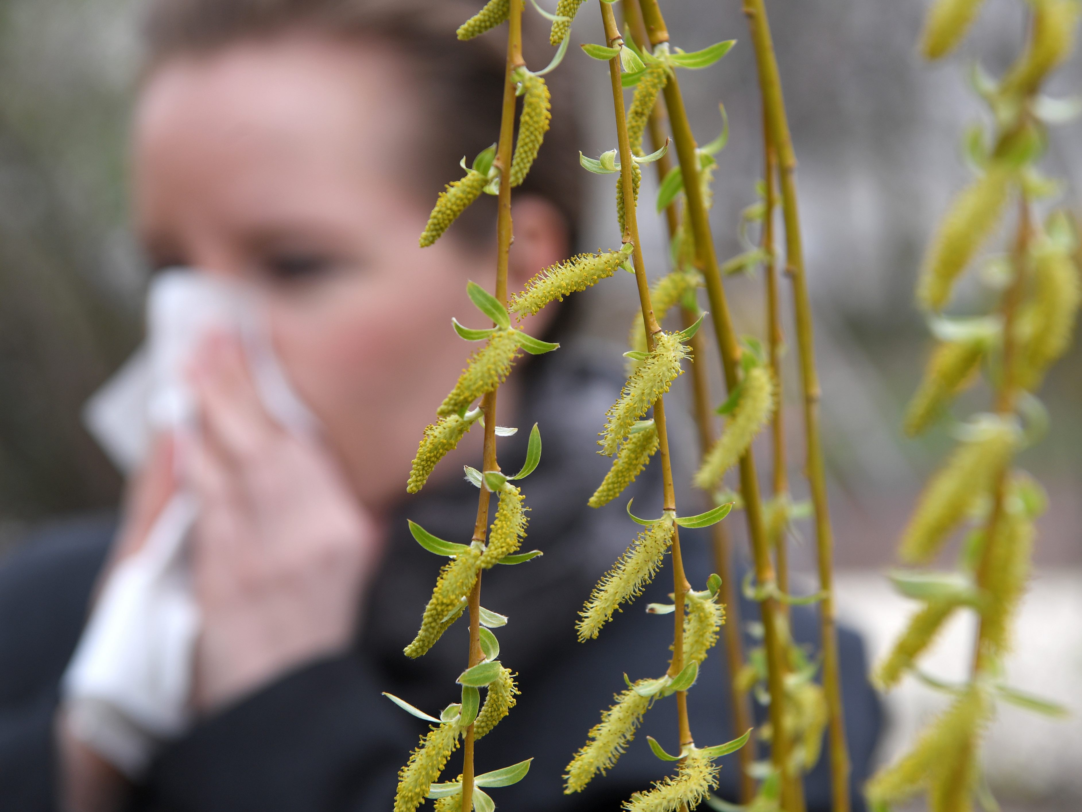 Für Allergiker und Asthmatiker sind die bisher verfügbaren Corona-Impfstoffe überwiegend unbedenklich. Für Allergiker und Asthmatiker sind die bisher verfügbaren Corona-Impfstoffe überwiegend unbedenklich.