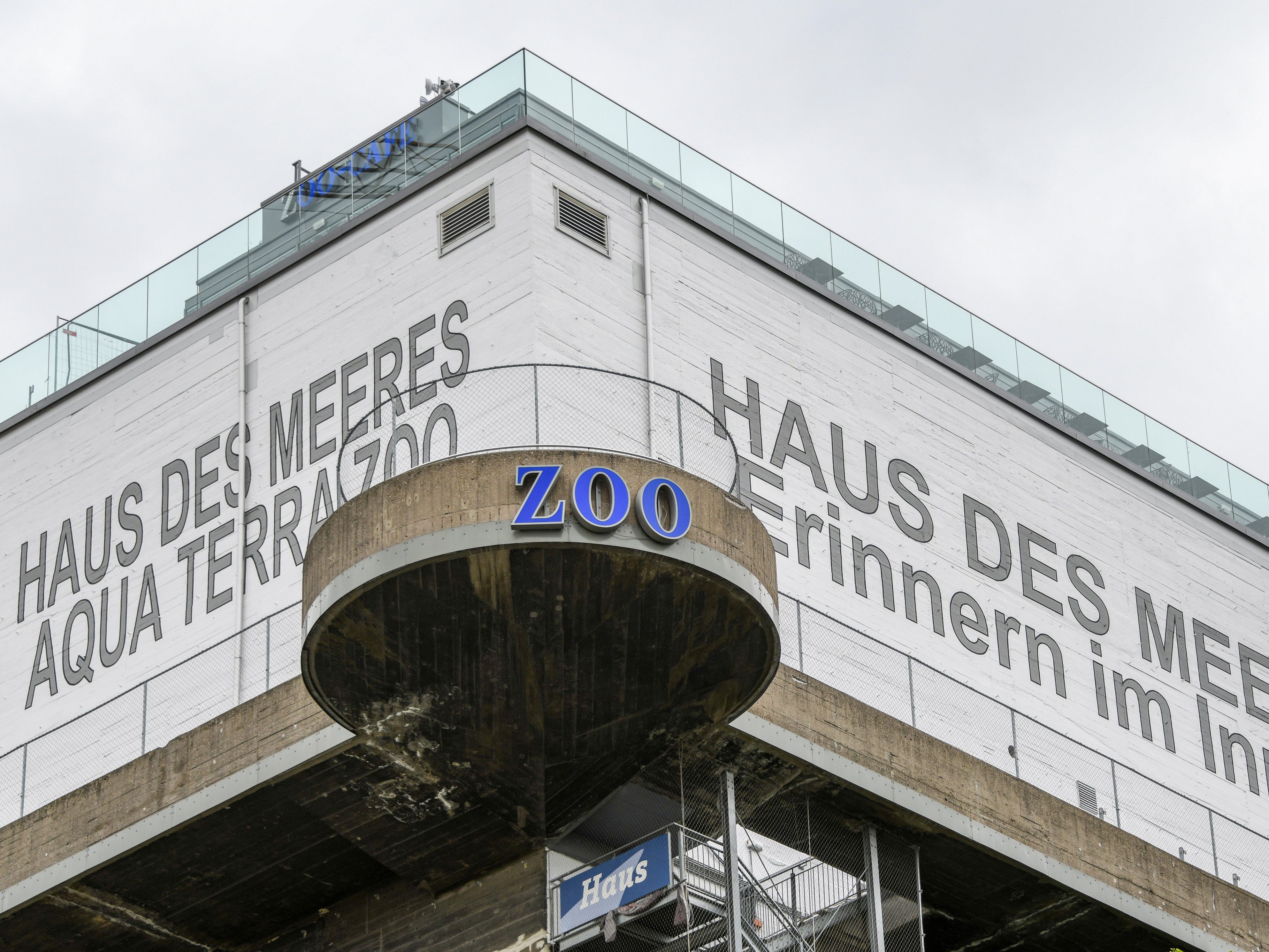 Das Haus des Meeres öffnet mit reduzierter Kapazität. Das Haus des Meeres öffnet mit reduzierter Kapazität.