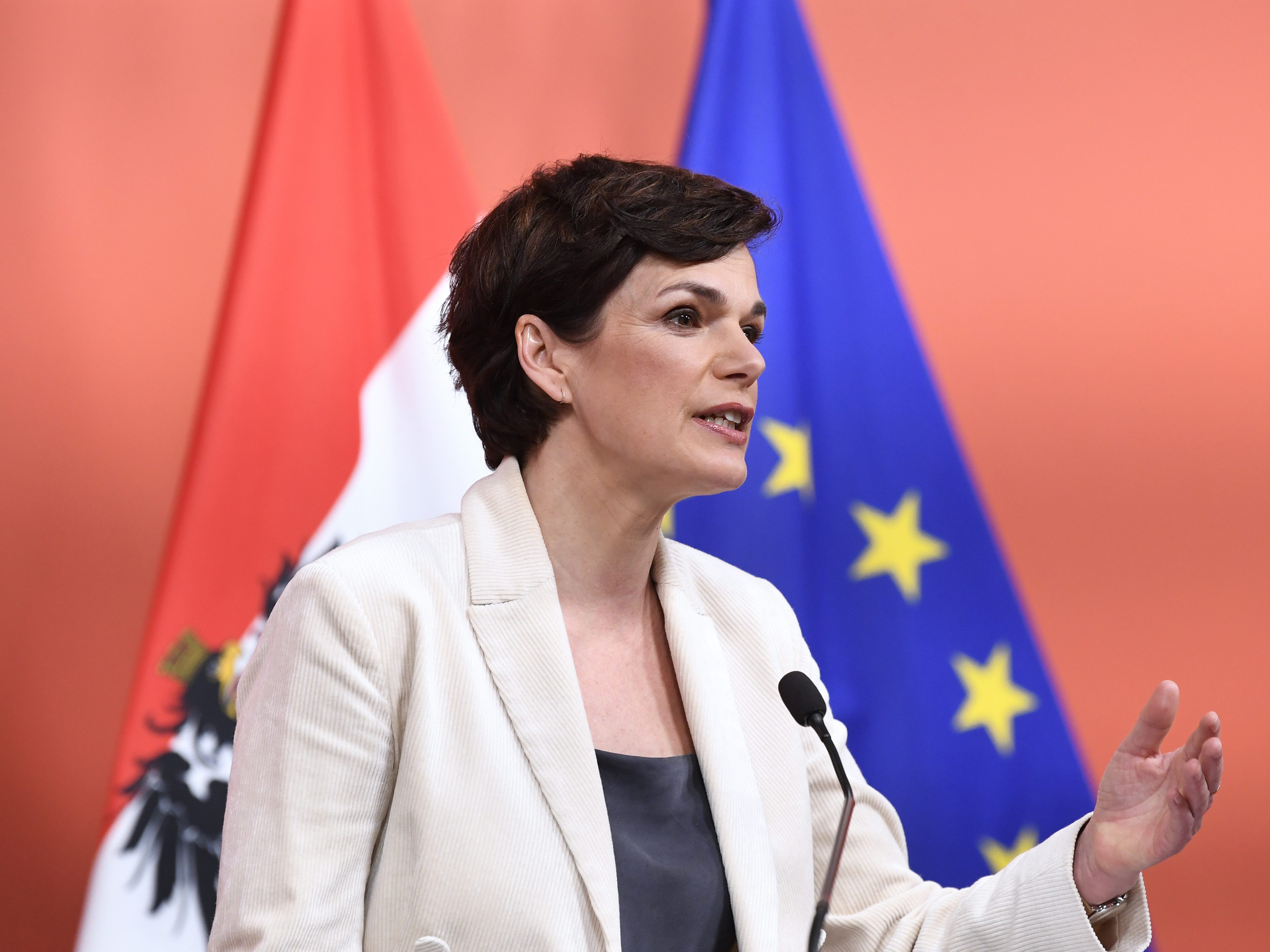 SPÖ-Vorsitzende: Impfstoff-Produktion dauert "viel zu lange". SPÖ-Vorsitzende: Impfstoff-Produktion dauert "viel zu lange".